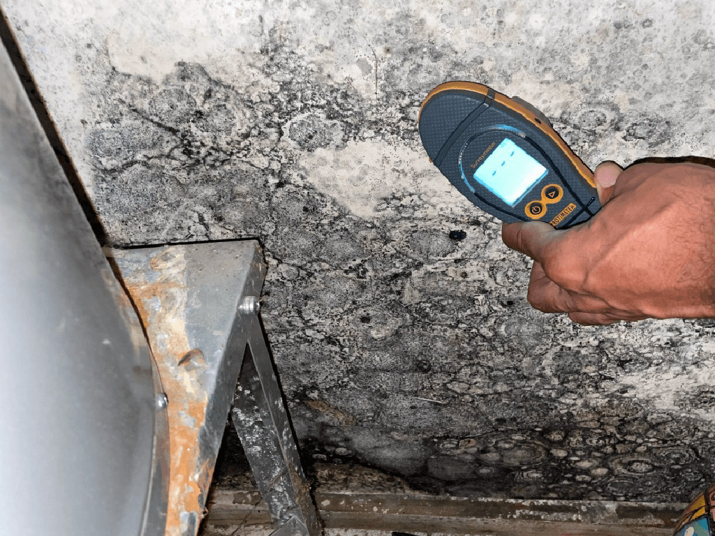 
Portland, Oregon Mold Inspection and Testing Services
